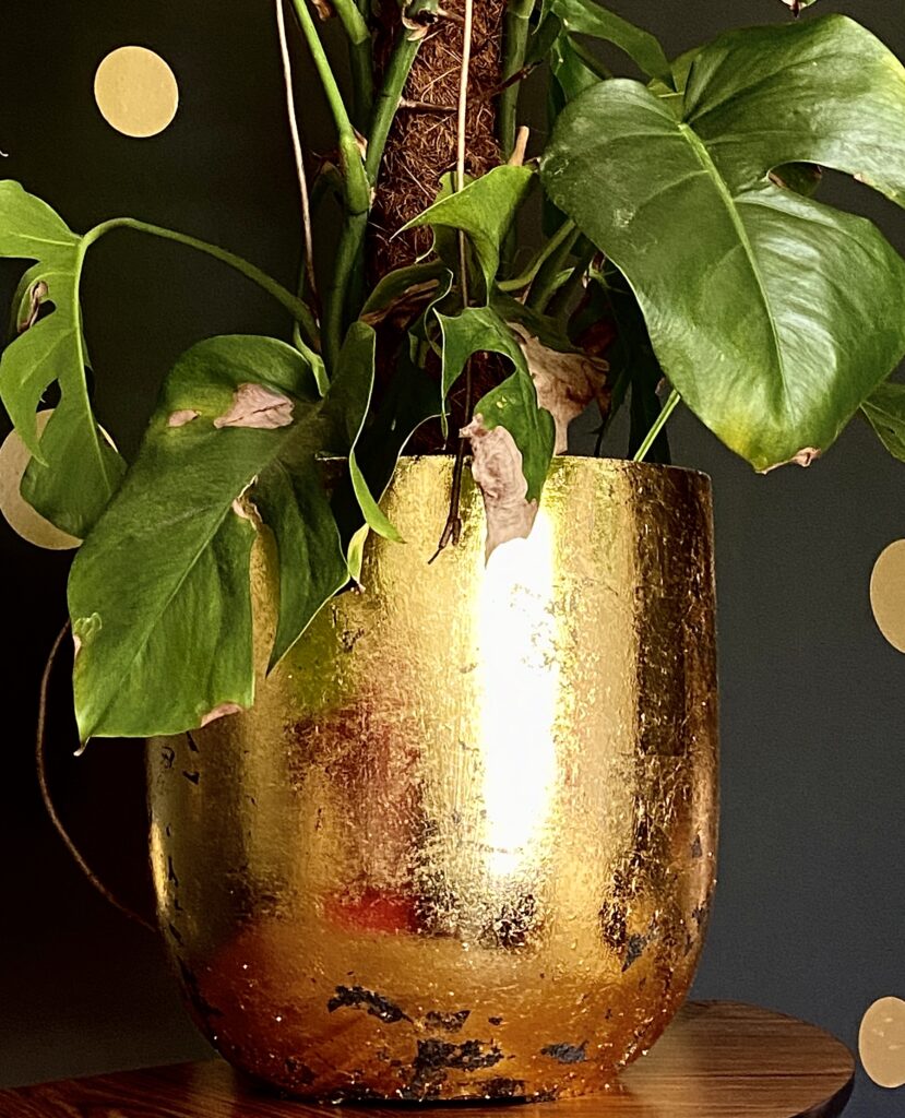 Gold leaf plant pot. Home decor projects to make with the kids.